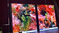 INDOOR LED SCREEN