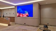 INDOOR LED SCREEN