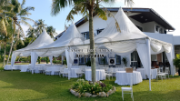 Transparent Canopy with Led Fairy Light