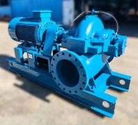 Motor with Split Case Pump