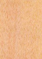 Mempisang wood