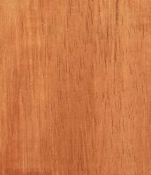 Mengkulang Wood: Characteristics and Uses