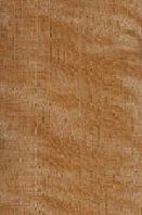Merawan Wood: Characteristics and Applications