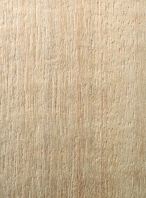 White Meranti
