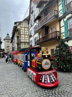 Electric Trackless Train