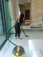 professional cleaner sunway professional cleaner sunway