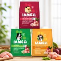 IAMS Premium Dog Dry Food for Adult, Small Breed & Mother Dogs - Quality Chicken Protein IAMS Premium Dog Dry Food for Adult, Small Breed & Mother Dogs - Quality Chicken Protein