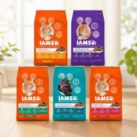 IAMS Proactive Health Cat Dry Food 8kg - Complete Nutrition for Kittens & Adults IAMS Proactive Health Cat Dry Food 8kg - Complete Nutrition for Kittens & Adults