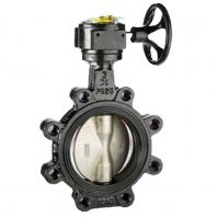 Butterfly Valve