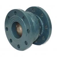 Check Valve