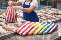 Zebra Stripe Colour Singlet Bag