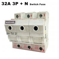 MAXGUARD 32A 1P+N 415V SWITCH FUSE