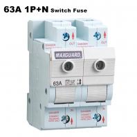 MAXGUARD 63A 1P+N SWITCH FUSE
