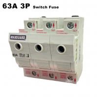 MAXGUARD 63A 3P SWITCH FUSE