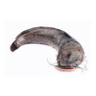 Frozen Catfish (Ikan Keli) Supplier Malaysia | Cheong Vege