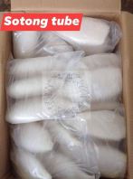 Sotong Tube