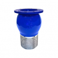 Foot Valve