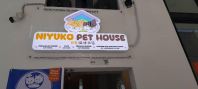 Adorable Cat LED Frontlit Signboard for Niyuko Pet House and Cafe