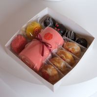 �Z X051 (MOQ 10 Boxes)