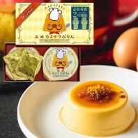 Japan Nagasaki Castella Pudding