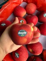 NZ DAZZLE APPLE