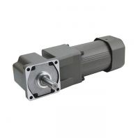 Gear Motor