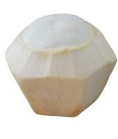 Botak Cut Coconut (Upcoming)