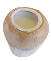 Coconut Pudding (Upcoming)