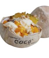 Coconut Ice Cream (Upcoming)