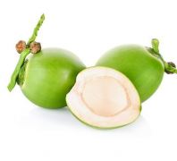  Screw-pine/ Pandan Coconut (Kelapa Pandan)