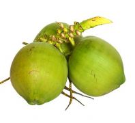 Mawa Coconut 