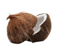 Old Coconut