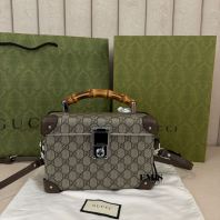 Gucci Globe Trotter Case- Preloved Luxury Bag