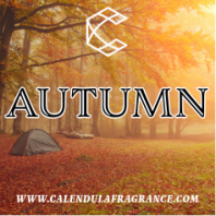 Reed Diffuser Autumn