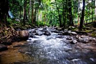 Sewa Bas di Hulu Langat