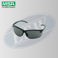 SPECTACLES, PYRENEES, GRAY, ANTI-FOG