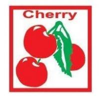 Tadika Cherry Permas Jaya Johor Bahru Reviews | Fees, Curriculum, Admission Age & Full Day Care Guide