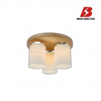 BO ������  13225-3C