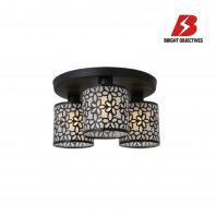 BO Ceiling Lamp | 14014-3C-R