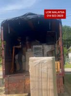 lori 5 tan 22 kaki