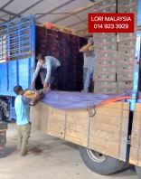 40ft truck load capacity