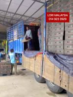 40ft trailer max weight