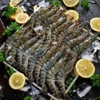 Frozen Black Tiger Shrimp (Size XL)