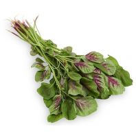 Red Spinach
