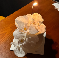 Classic Phalaenopsis Moth Orchid Flower Cake Design ������