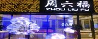 SF SERIES - LED TRANSPARENT FILM SCREEN P5