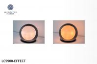 LC9900 OUTDOOR GATE LIGHT