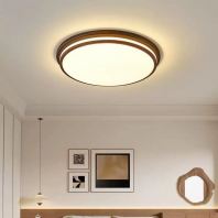 GZX4002-410MM/510MM CEILING LIGHT