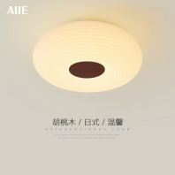 GZX4018-420MM/520MM CEILING LIGHT