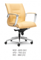 Low Back Chair (E3263H)